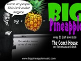 BIG Pineapple